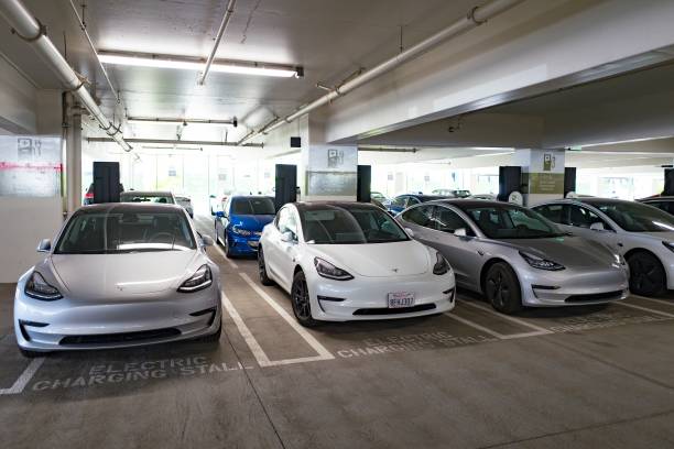 Tesla   Dojo    