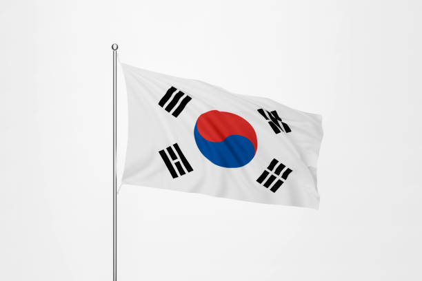 ϳ   	     