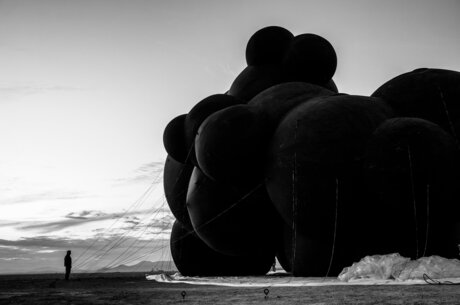 Burning Man 2025  :     ,      