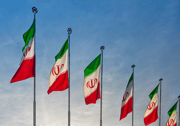            IRNA