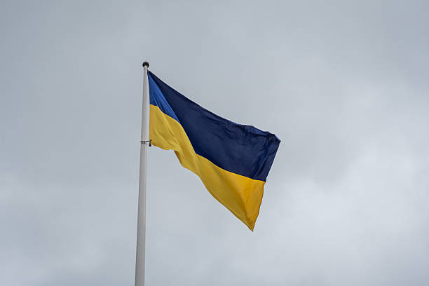 В Україні запустять онлайн-програму для жінок-початківців у бізнесі В Україні запустять онлайн-програму для жінок-початківців у бізнесі