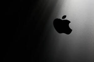 iPhone 17  :      14%    