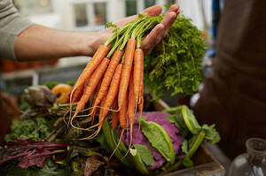 В Україні зростають ціни на моркву В Україні зростають ціни на моркву