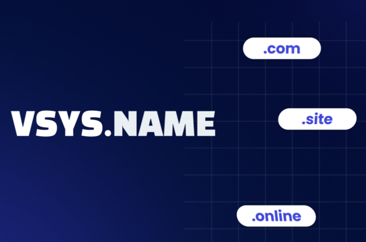 VSYS Host  VSYS Name   ,  ICANN