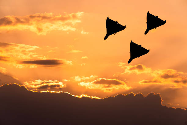 ГУР знищило під москвою три гілки нафтопродуктопроводу окупантів ГУР знищило під москвою три гілки нафтопродуктопроводу окупантів