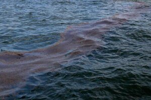 Морські дрони СБУ вразили черговий танкер «тіньового флоту» рф у Чорному морі Морські дрони СБУ вразили черговий танкер «тіньового флоту» рф у Чорному морі