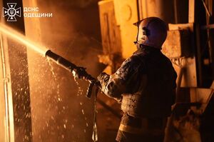 ������ ��������� ���� ϳ������� �� �������