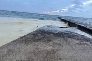 � ������� ��� ������ ���� �볿 ����� ������� ����� �� ���� ϳ�������