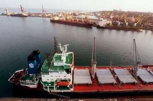 ϳ��� ��������� ���� ���� ϳ������� ������� ������