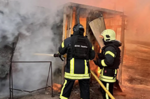 ����� �������� ������� �� �������