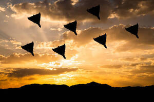 �������� ������� ������� �� �����