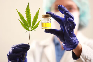 �������� ������ �������� ������ � ���������� �� 2026 ��