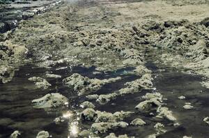 ���� ������ ����� ������� ���: ����� ��� ��������� ���� �� �������������� ������ � �����