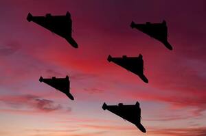 ���� ��������� ������ ����� ������ �����������, 70% �� ��� ������� ����� � �������� ����