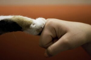 ������ ������� ������������� ��� ������ ������ �������� �� ��������� ��