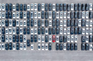 ������� ����� �������� ������ �������� ���� � �����