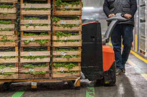 ���� �������� �������� ������ �� ���������� �����- �� ������������