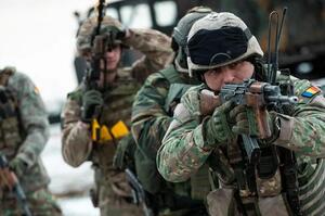 ���� ��������� �������� �������� ���� Steadfast Dart