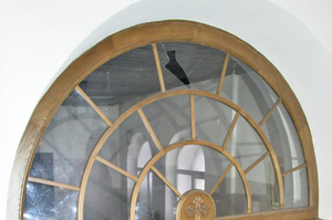 ������, ���������� ���, ������ ��������� ����-��������� �����