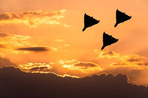 ����� ����� �������� ������ �������� �� �������: �������� ���� � ������� �� ������ �����