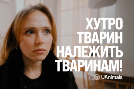 �������� ���� ���� ������ � ���� ������ ��������� ���������� �� ������������ �����