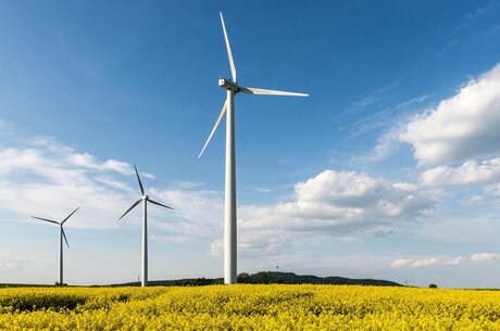 �� ������ �������������� ������������������ �� ���: ��������� ����������