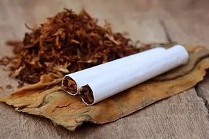 ���� �������� ��������: �������� ��� ����� ������� ����� �����������