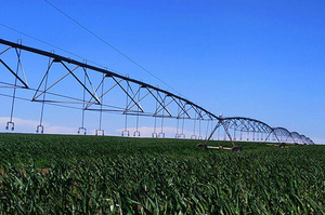 ������ ������ 6 ��� ���� ������ �� ������������ ��������� � ������� ������