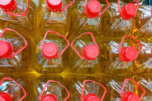 У лютому експорт олії залізницею через західний коридор зріс на 112% У лютому експорт олії залізницею через західний коридор зріс на 112%