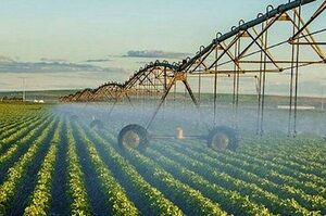 ���� ���� ����� ������� ����� ������� ���������