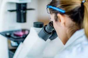 ������������� ���� �� � ���� ���: ̳��������� ������������ �����������