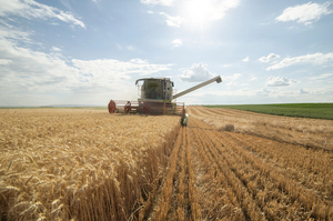 Продаж без розпродажу: що відбувається з великими земельними банками Продаж без розпродажу: що відбувається з великими земельними банками