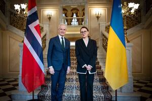 ������ ������ �������������� �������� �� �����㳿