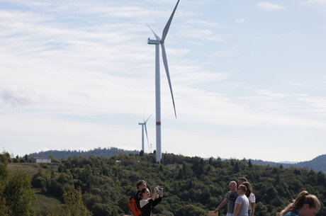 ������������ ��������� ��������: �� ������ ������� ������ �� �������� ���������� ��� �� �������� ����