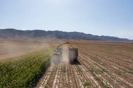 ��������� �� ��������� ���� ����� �� ������� ��������� �� ������ ������ ��� ����� ������