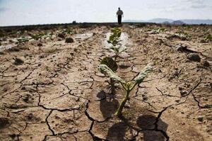 ���� ���������� ���� ������� �������� ������ � �������� ������