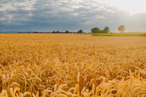 г��� ����� �� ��������� ��������: ����� ����������� ����������� ��� ������ �� ���������