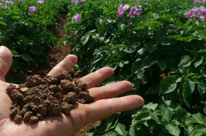 � ������ ���� ����������� �������� ������� ����� �������� � �������� �������