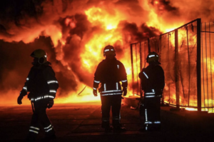 �� ����� ��������� ������ 29 �������� �� 480 �������