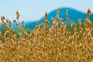 ������� ���� �� ����� ����� ���� ��� �����