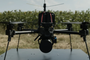 �������� � �������� ���� Black Forest Systems �������� ������������ ������������ �����