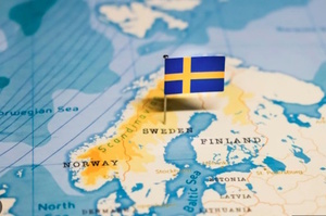 ������ ��������� ������ ���������� ��������� ����� Sea Owl