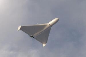 �������� ���� �������� ���� ������� ���������� 133 � 156 ��������� ����� ������