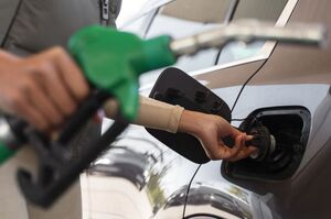 ̳���������: � ������ ������ ���� �������� ������� �� ������