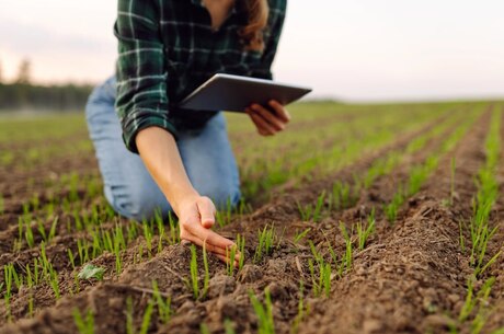 ��������� �� � ��������� ������, � � ����������� �������� �� ��������: �� ������ �������� ������-�������� � ������