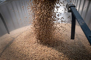 ³� �������� �� ���������: ������ �������� ��������� ������� ������� �볿