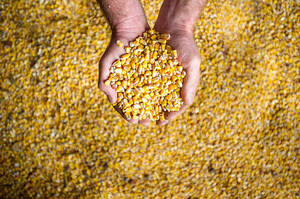 �������� ����� ���������� ������� �� ������� ����� ������ ��������� ���