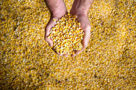 �������� ����� ���������� ������� �� ������� ����� ������ ��������� ���