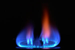 ������ ���� �� ������ ���� �� ������� ����� ������ �������� � ��