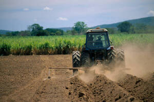 ������ �������� ������� 126 ��� ��� �� ������ ��������� �������